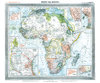 Historsiche Karte: Afrika, 1890 (Plano)